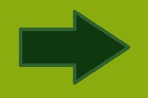 Go forward one page.