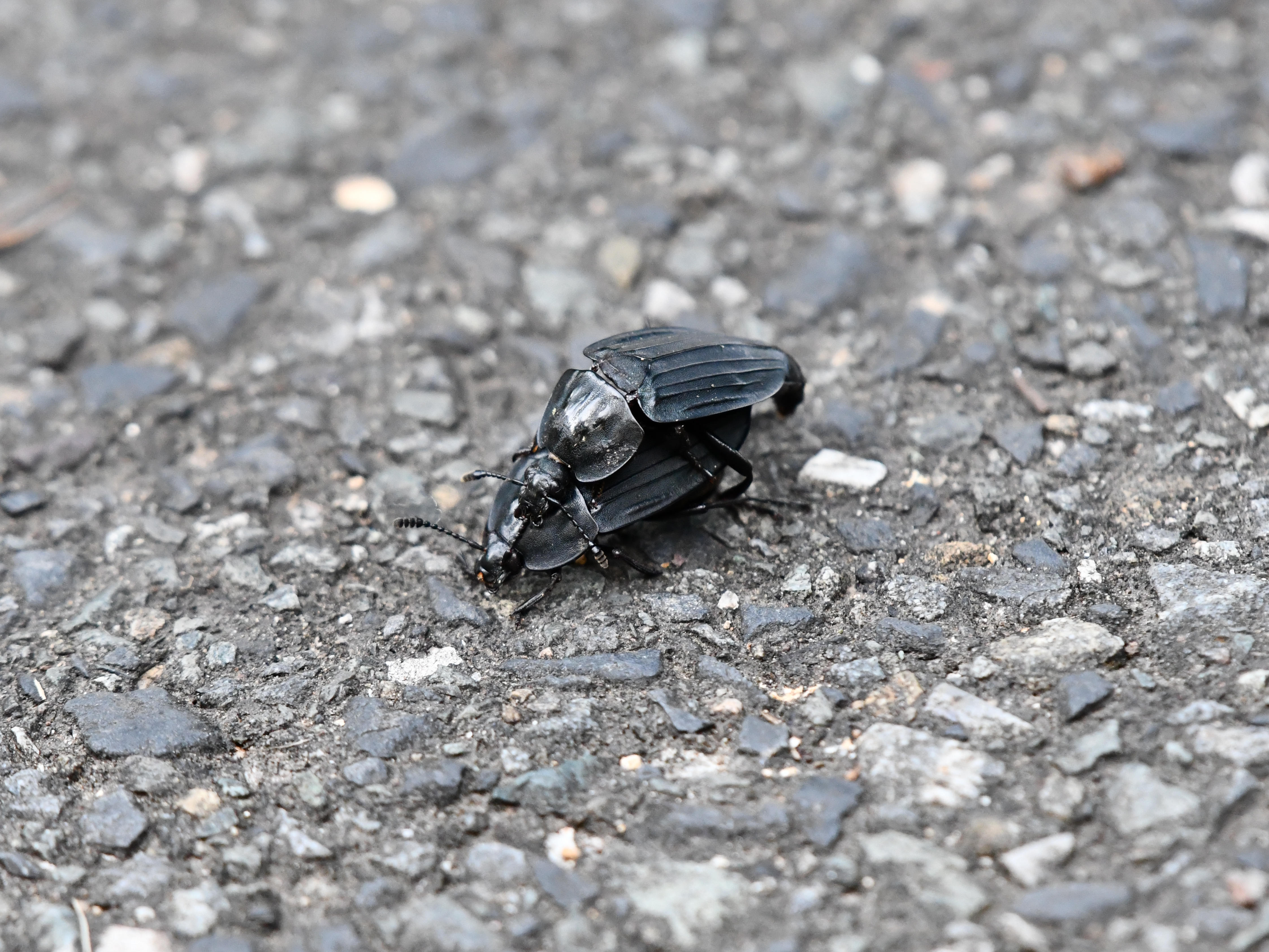 #22:
          STAY TUNED...
          f/ at mm - Shutter Speed: - ISO: