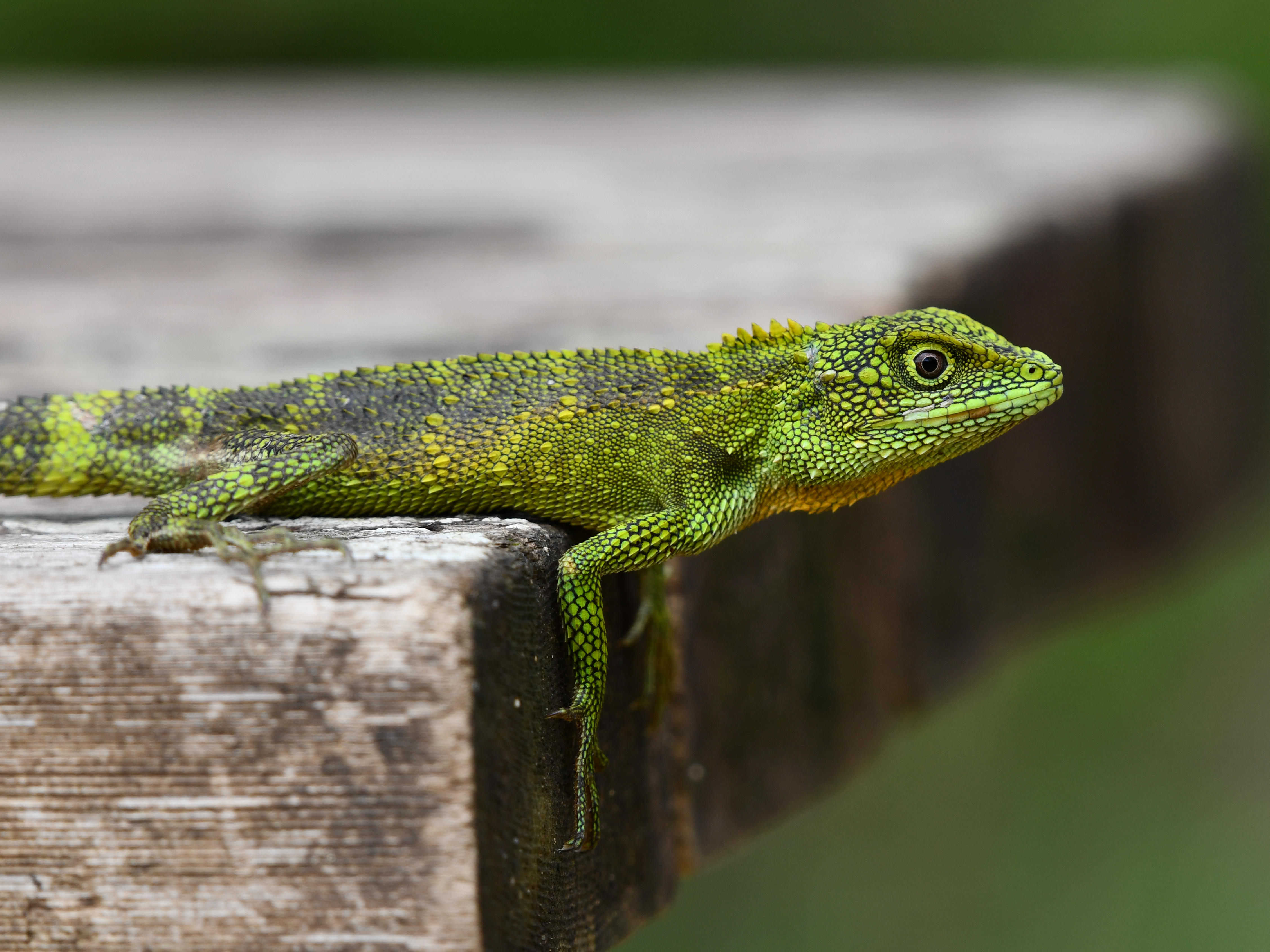 #55:
          STAY TUNED...
          f/ at mm - Shutter Speed: - ISO: