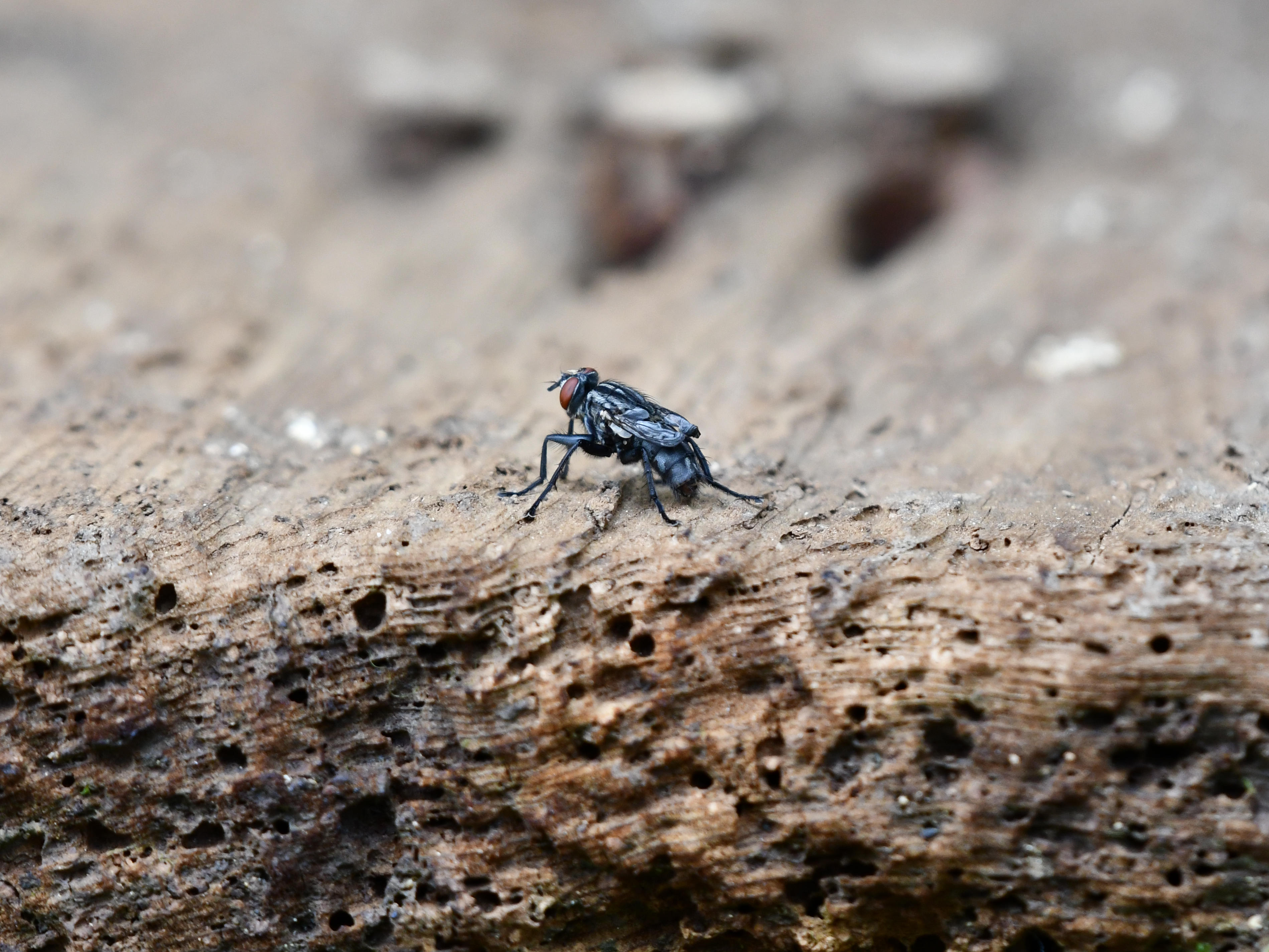 #56:
          STAY TUNED...
          f/ at mm - Shutter Speed: - ISO: