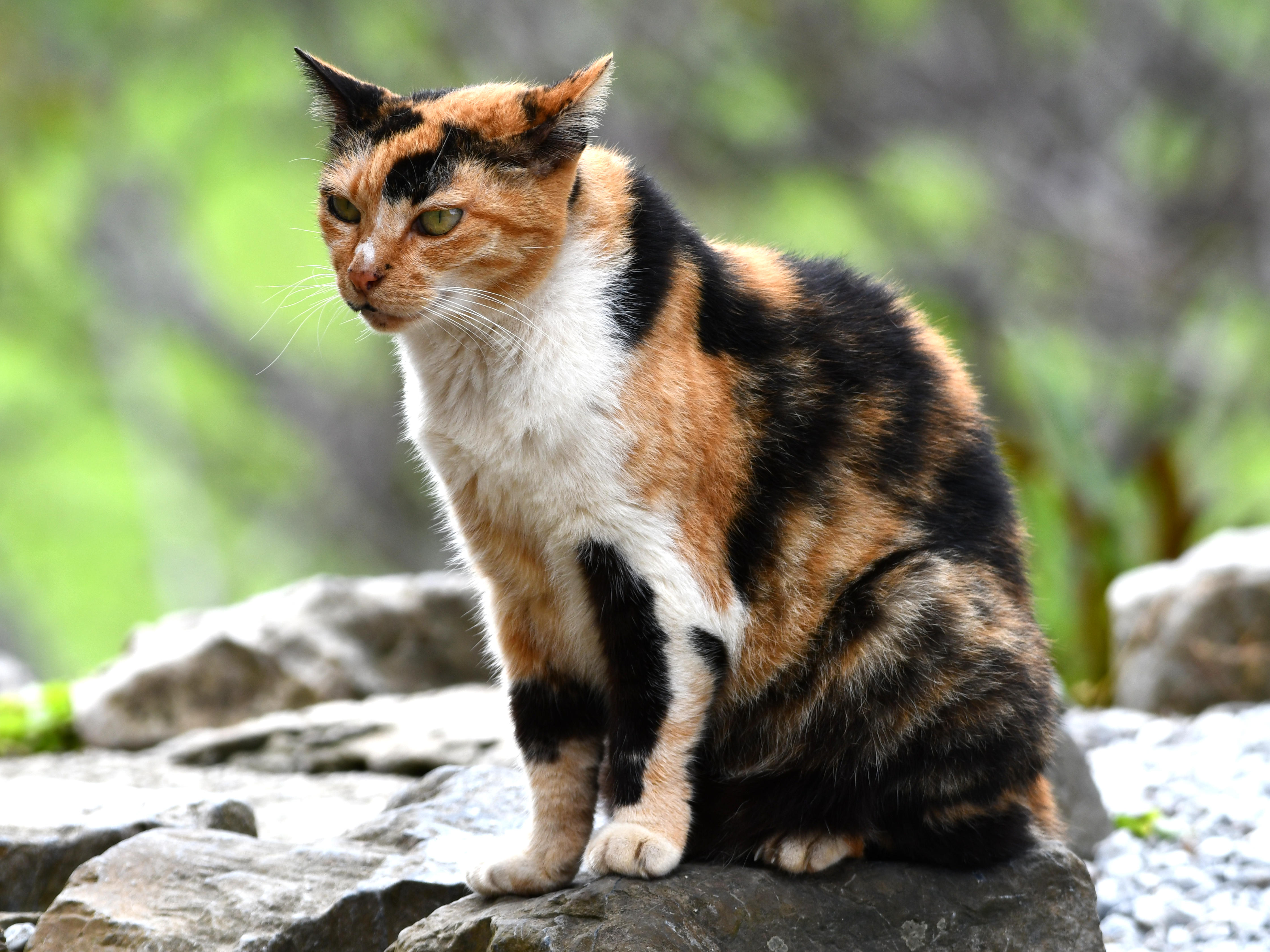 #68:
          STAY TUNED...
          f/ at mm - Shutter Speed: - ISO: