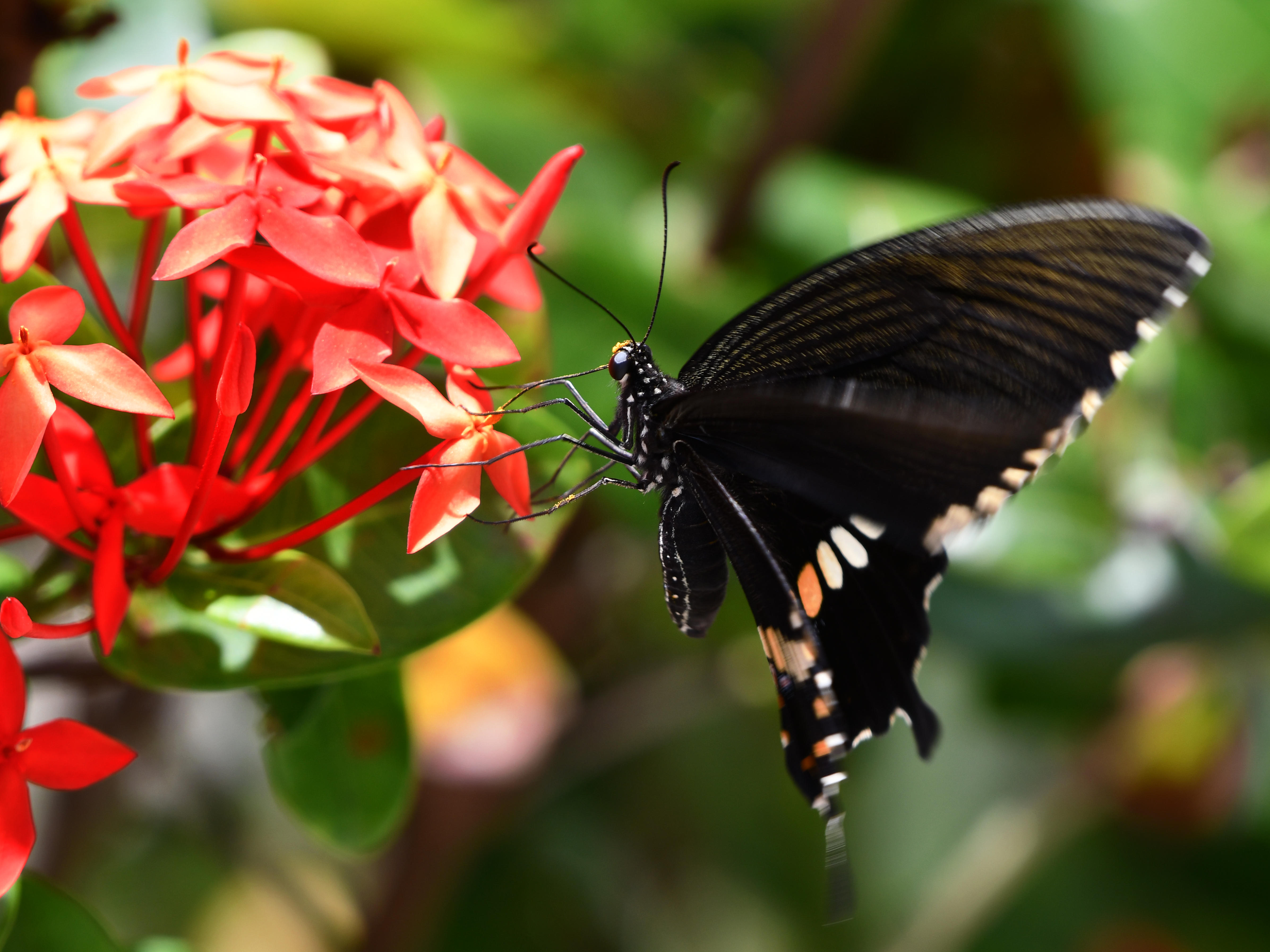 #75:
          STAY TUNED...
          f/ at mm - Shutter Speed: - ISO: